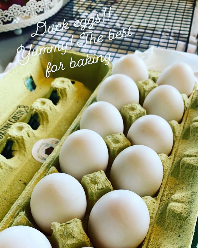 DUCKS EGGS.png