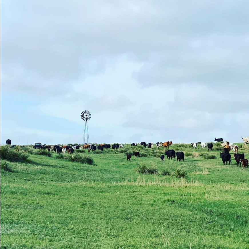 Rotational Grazing Practices .png