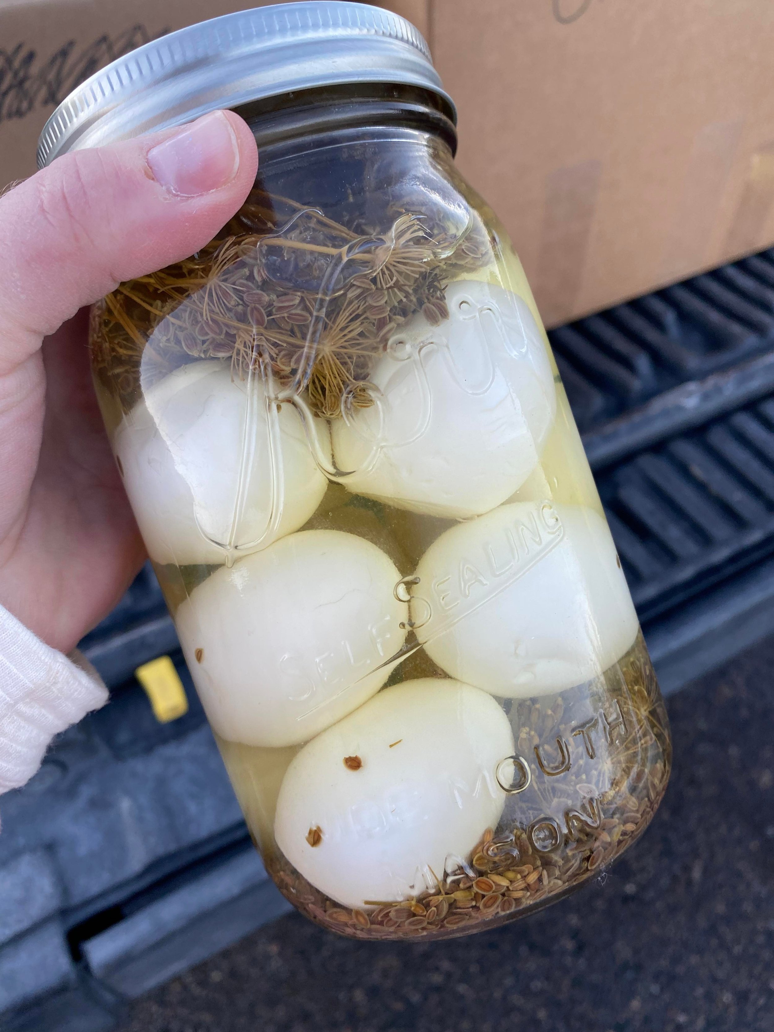 Pickled Eggs, Dill.jpg