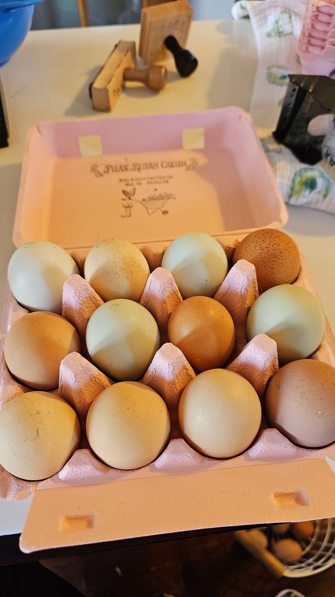 Eggs 2.jpg