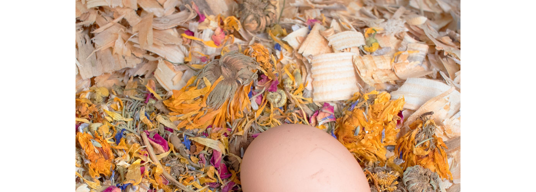 chicken herbs 2.png