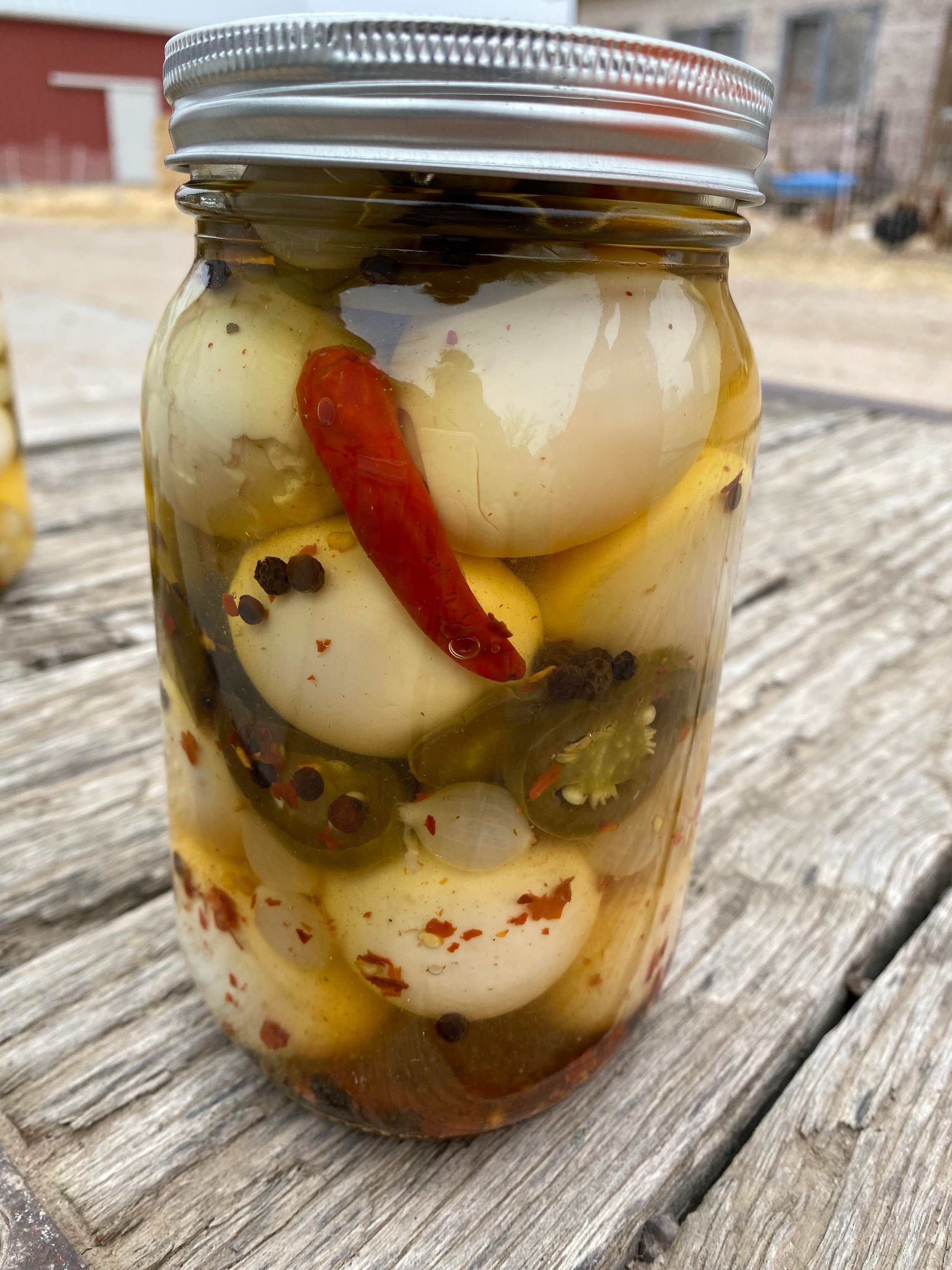 Pickled Eggs, Jalapeno.jpg