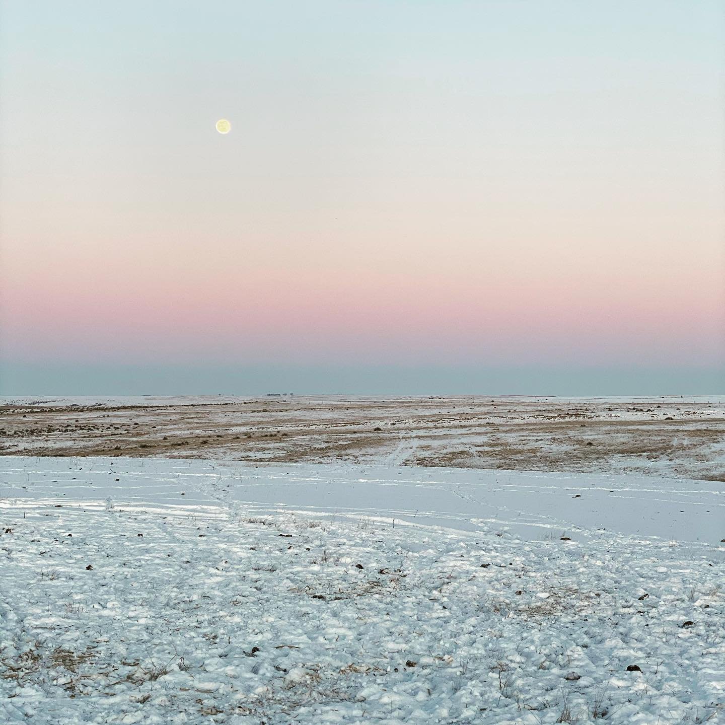 cold winter 2021.jpg