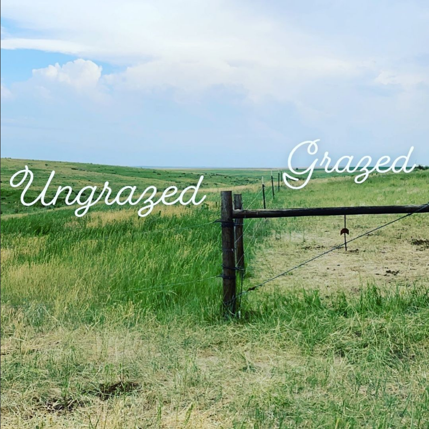 Rotational Grazing .png