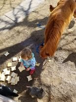Ellie Red and chickens.jpg