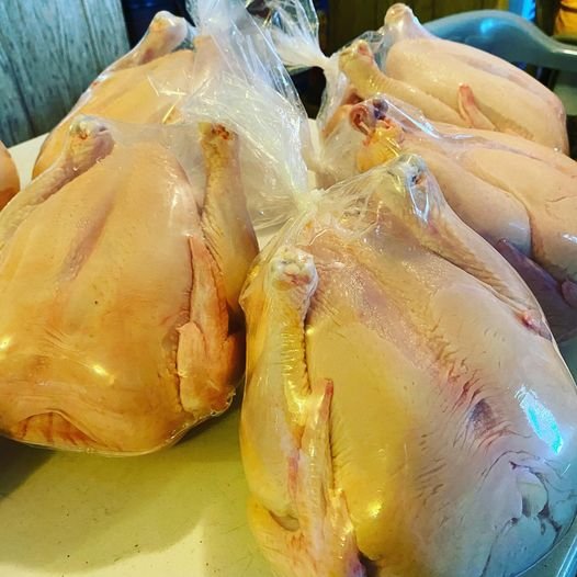 Fresh Pastured Chicken 2021.jpg