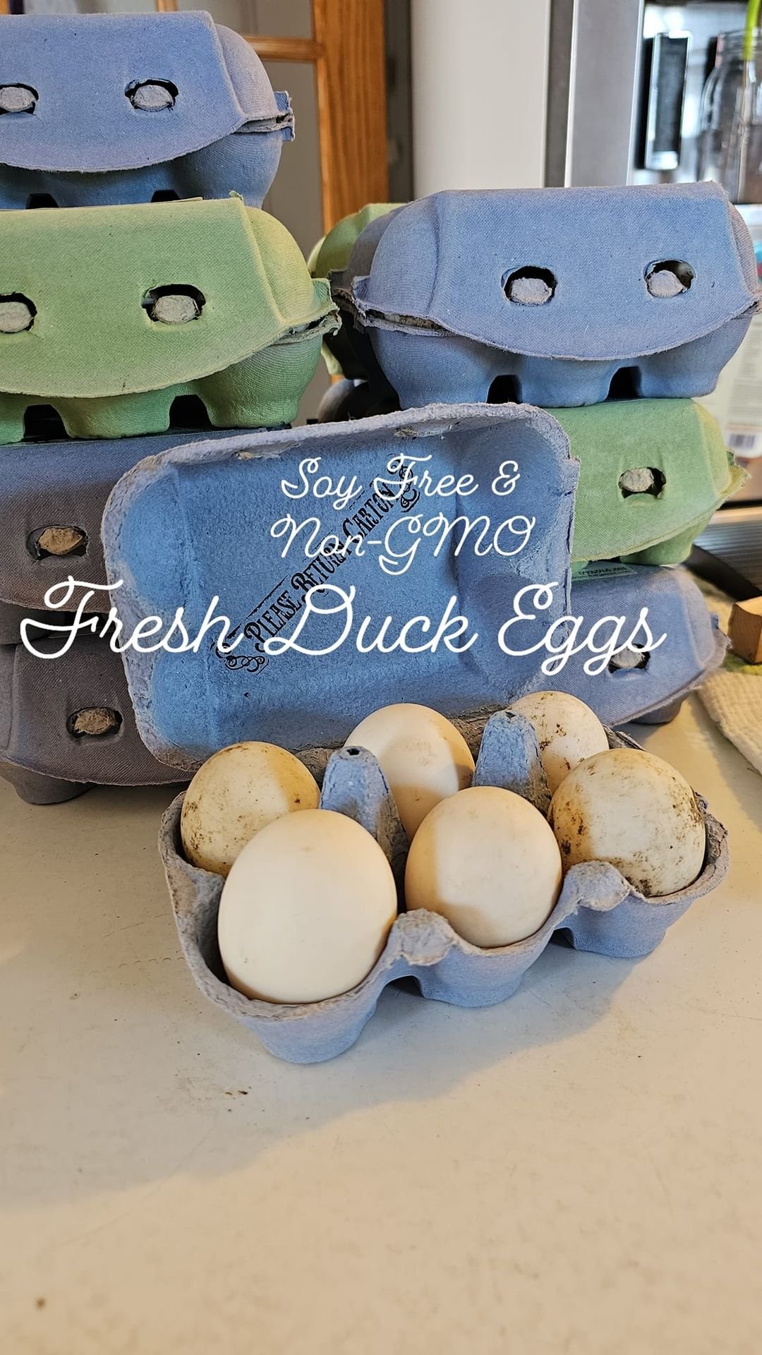 Eggs Duck 2.jpg