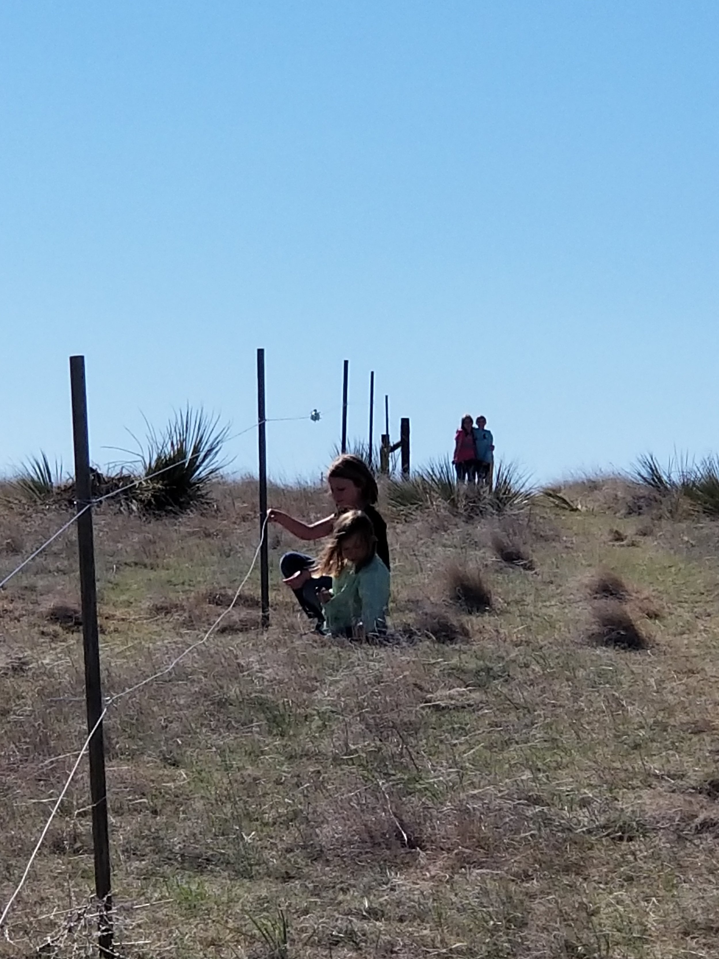 The girls crossfencing.jpg