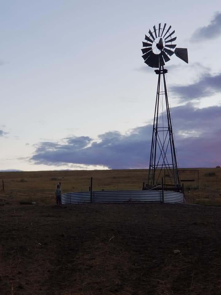 windmill.jpg