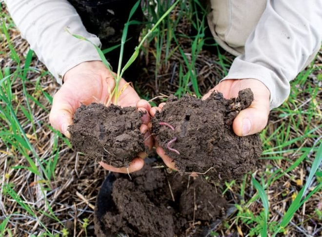 No Till Farming.jpg