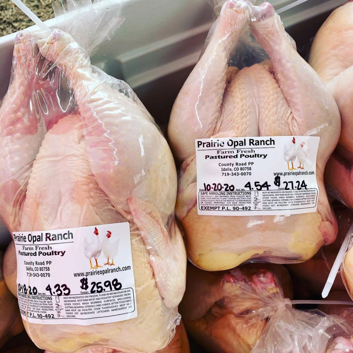 Pastured Chicken pic.jpg