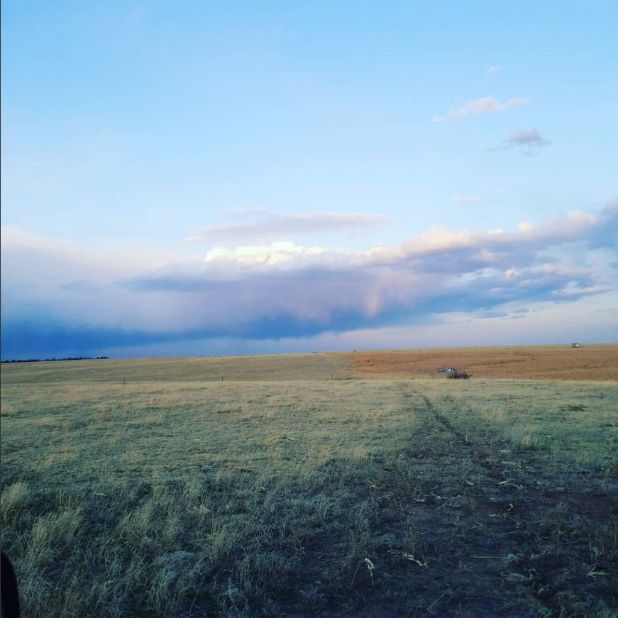 Country Sky .png