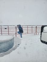 Audi Frozen Tank.jpg