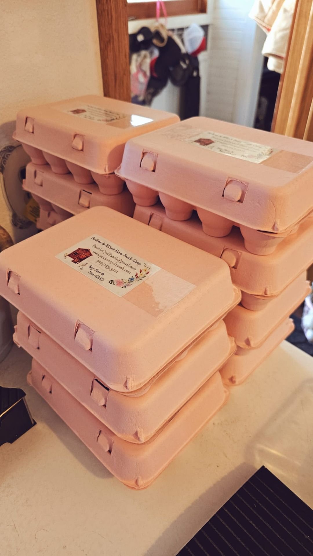 Eggs 1.jpg