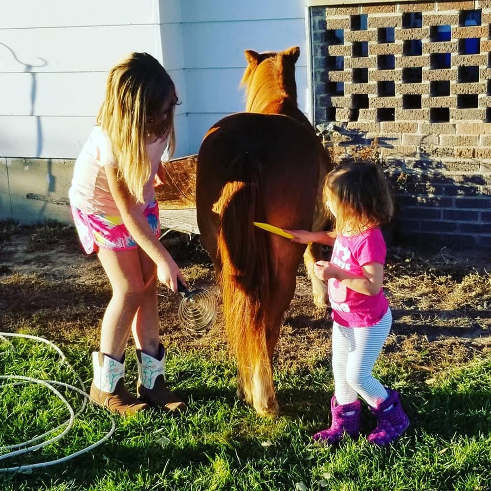 horse time.jpg