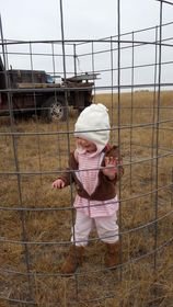 Ellie exclusion cage.jpg
