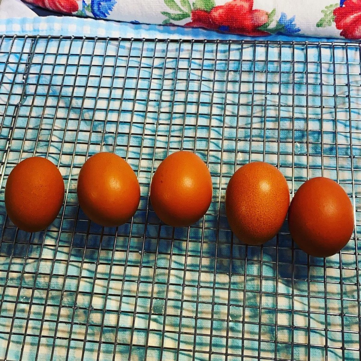 Pullet Eggs 1.jpg