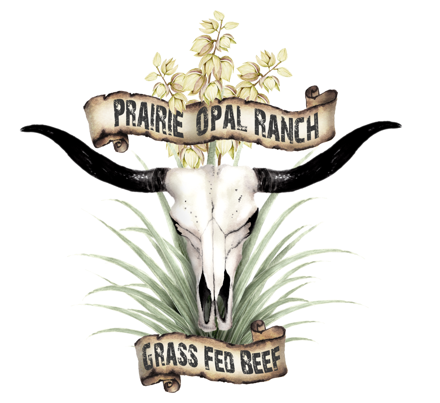 Prairie Opal Ranch 