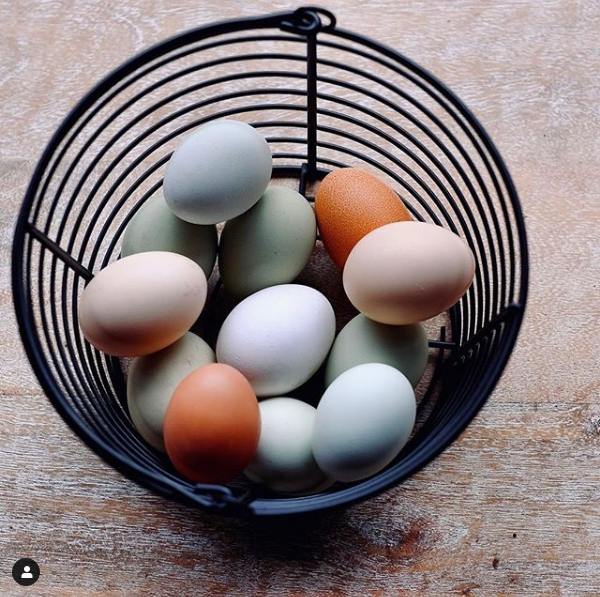 Eggs 2.png