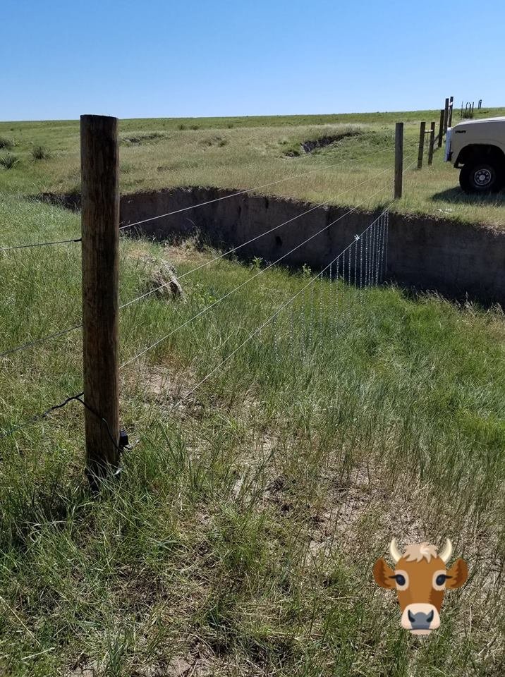 cross fence.jpg