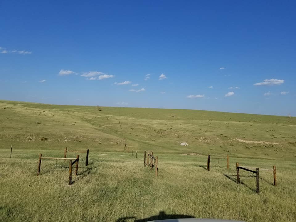 cross fencing.jpg