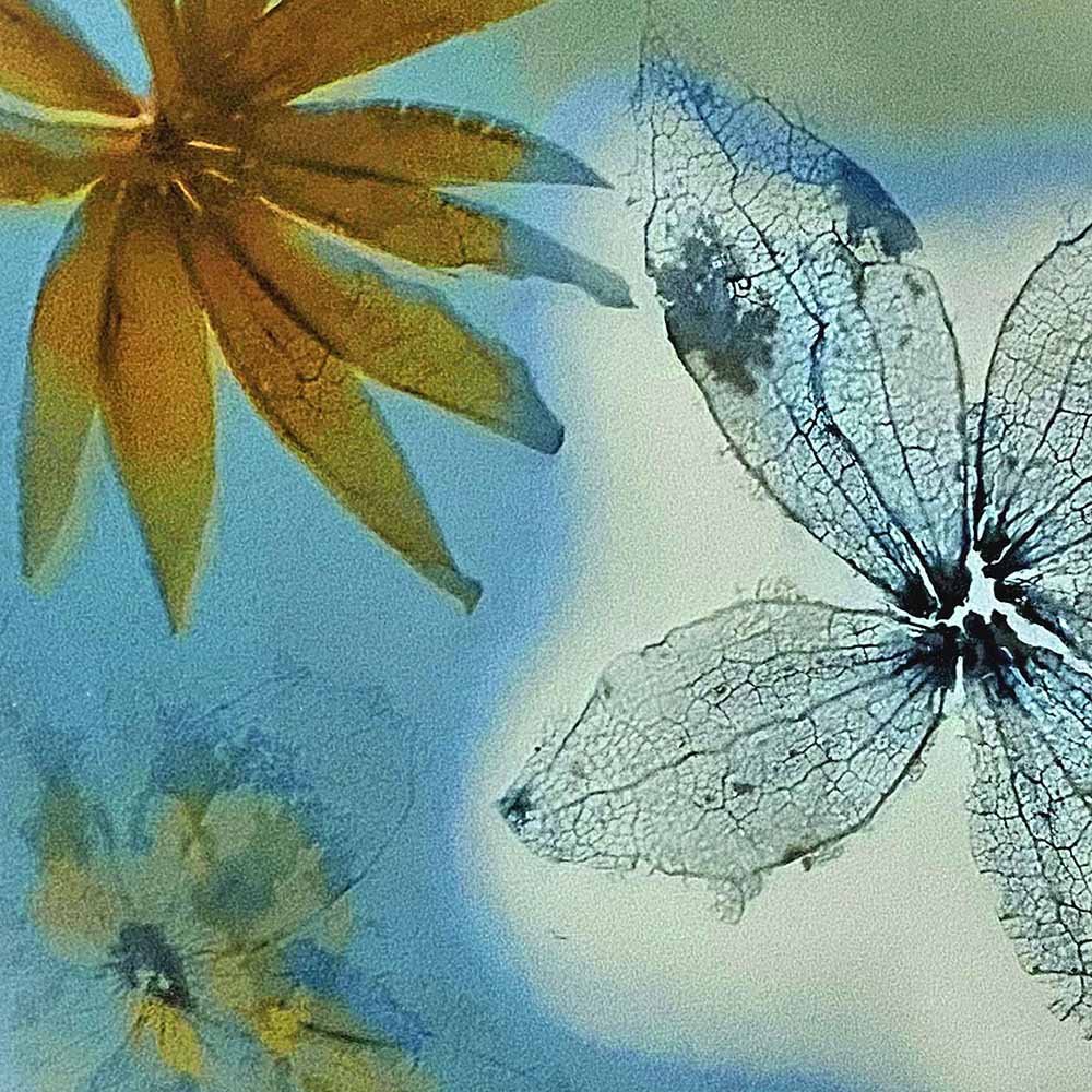 6x6 flowers-7 copy.jpg