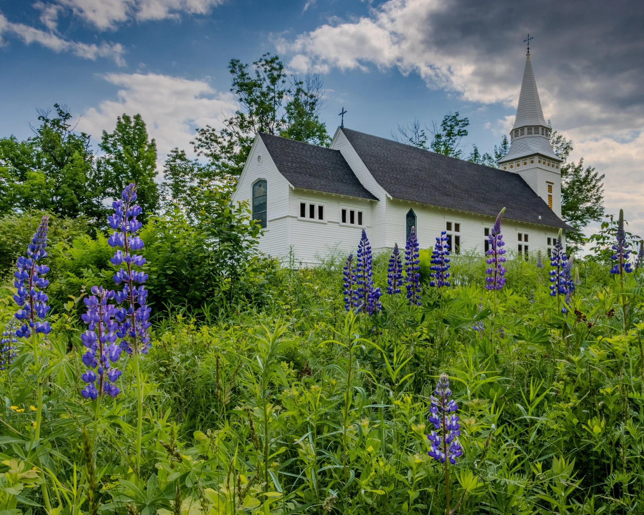 Sugar Hill Lupines
Dating back to 1893, St. Matthew's Chapel in Sugar Hill, NH is an iconic location for photography, with a large field of lupines next to the building.  Sugar Hill has several fields of lupines (blooming early to mid June each year)