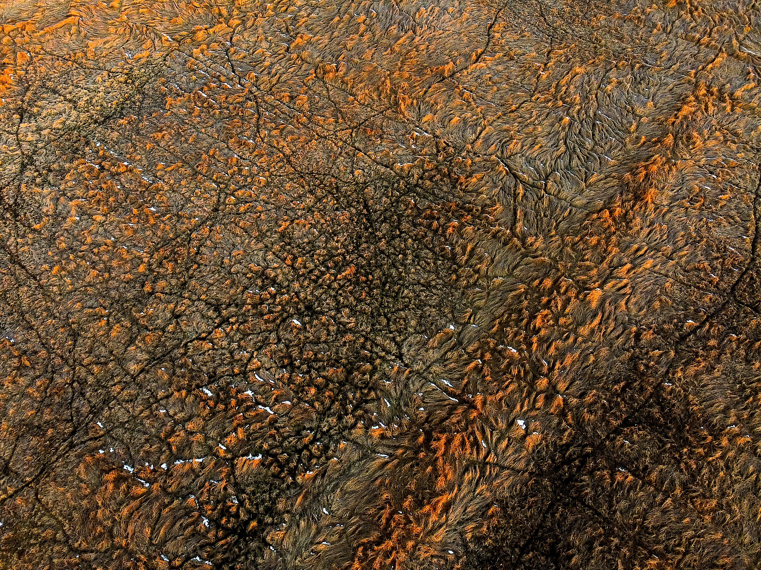 First Light on Winter Hay Field- - Groton Massachusetts_.jpg