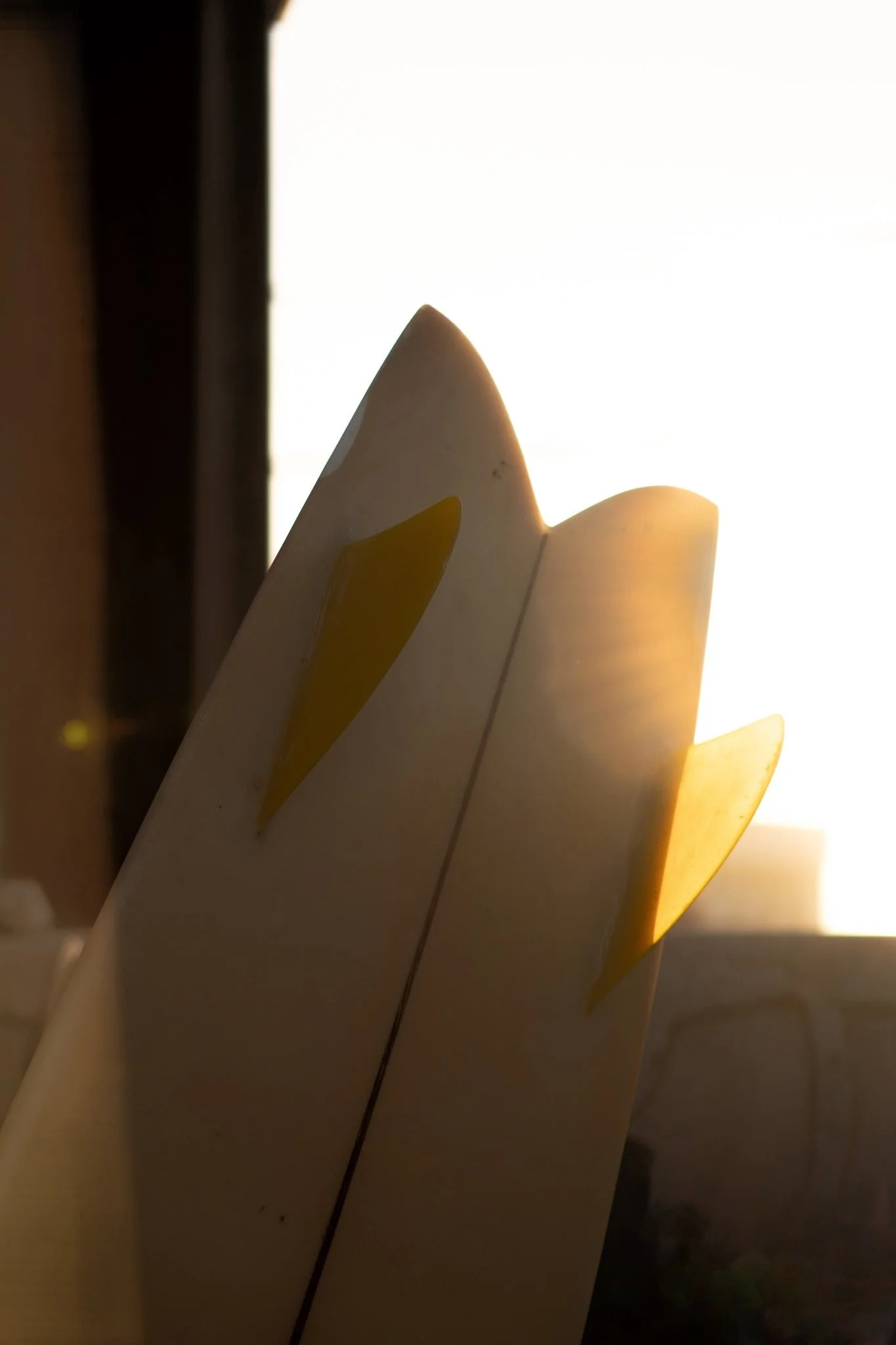 1700132220943_filtered (1).jpeg