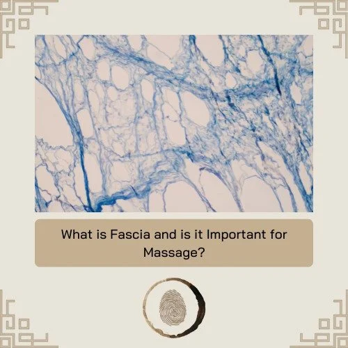 I just finished up the monumental task of writing a detailed blog about fascia and its relevance to massage therapy. As a fascially focused therapist, I dive into what the tissue is, what its for, what its made of, and what exactly we are (or aren't)