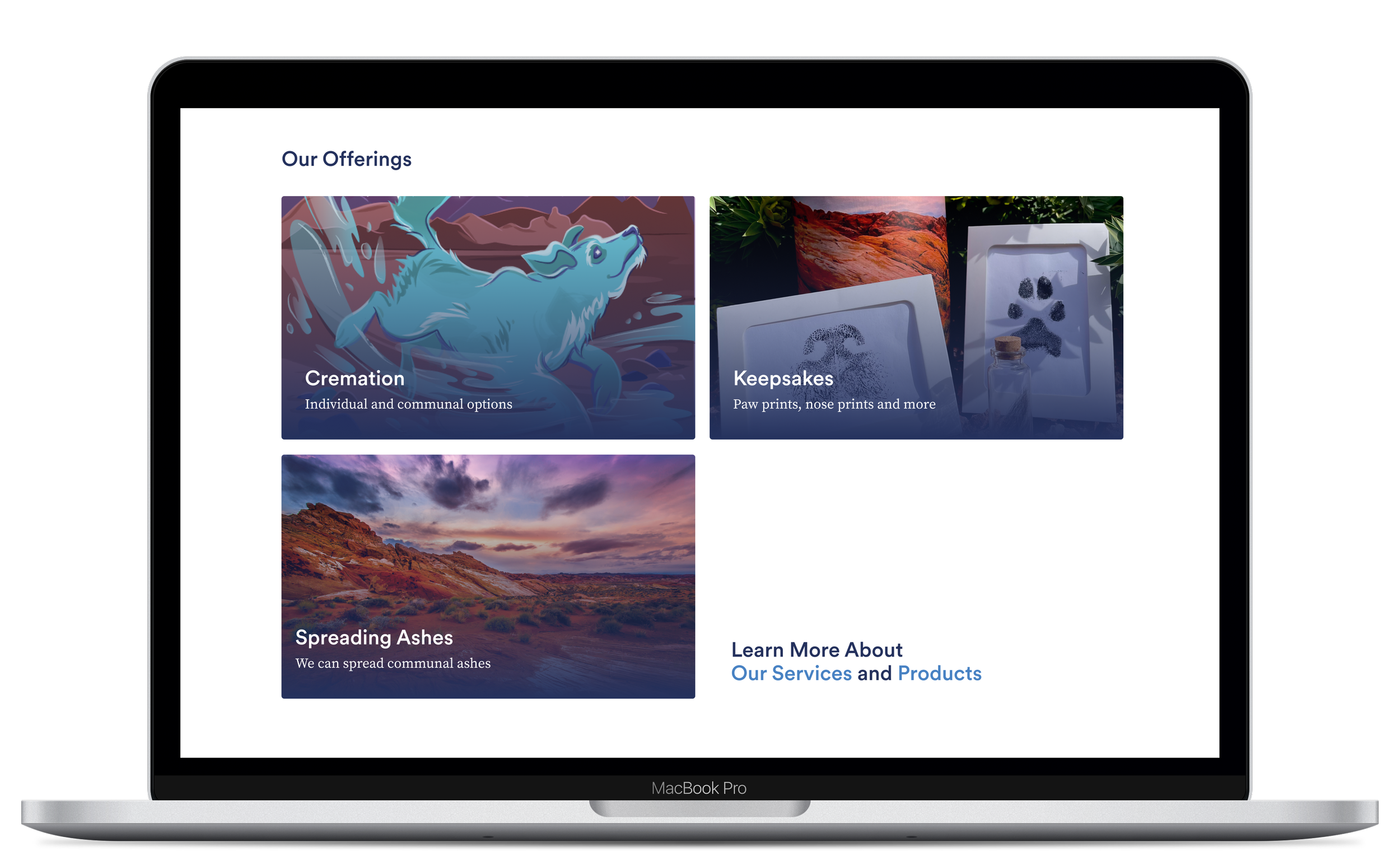 Our Offerings Mockup.png