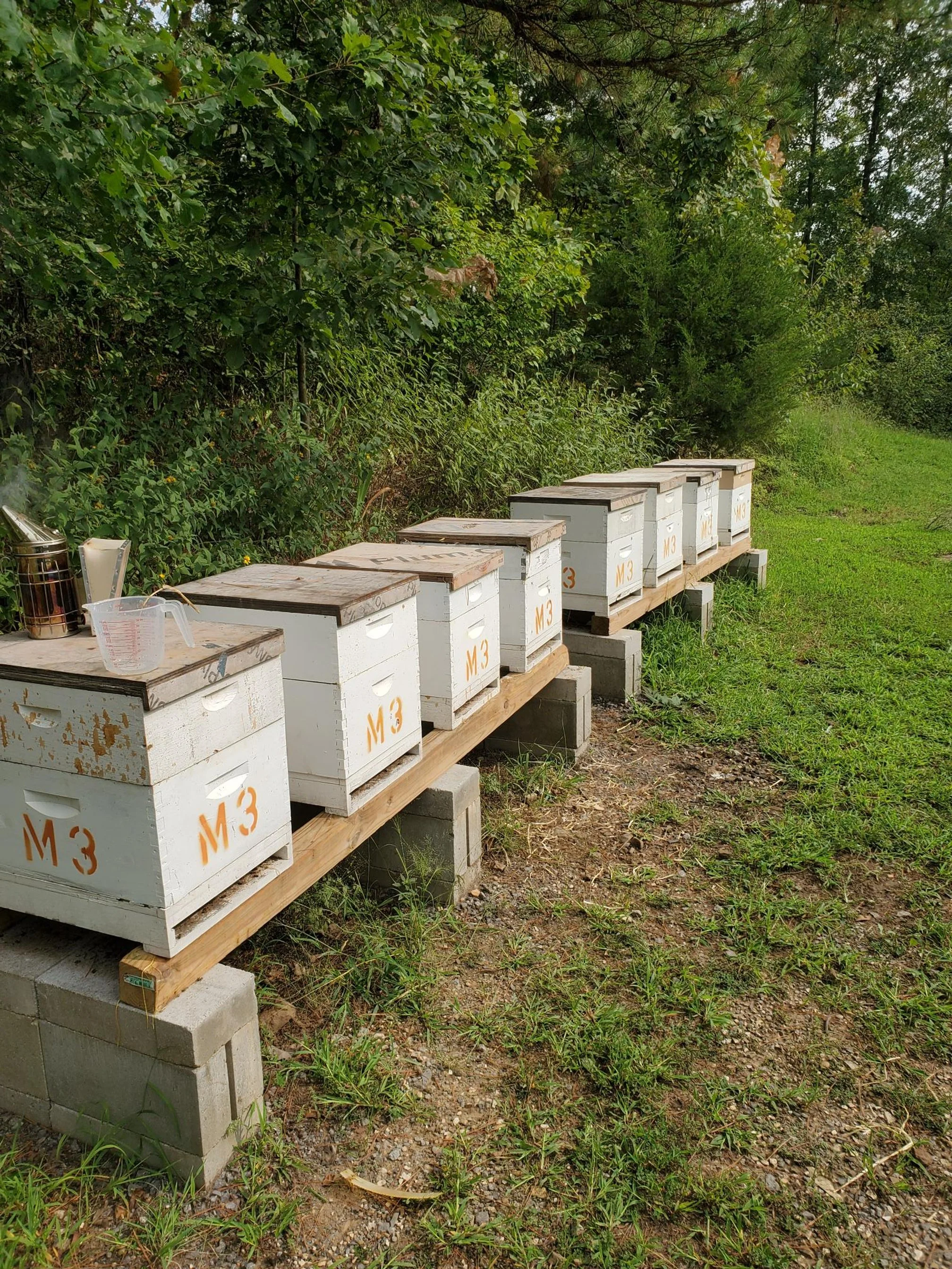 Bee Hives.jpg