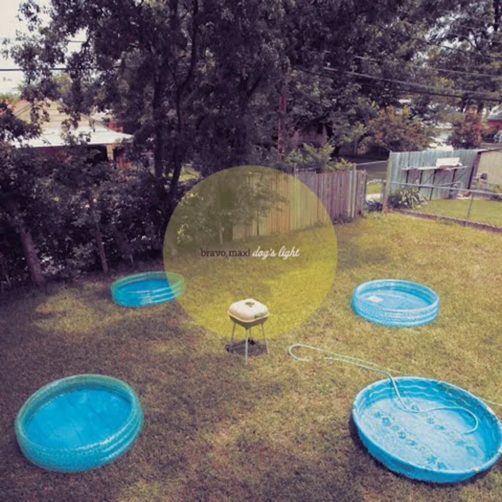 Dog's Light by Bravo, Max! (Recorded in 2011, Released 2012)