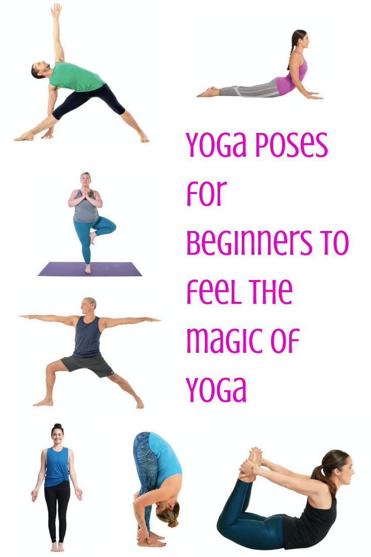 13 yoga poses for beginners Royalty Free Vector Image