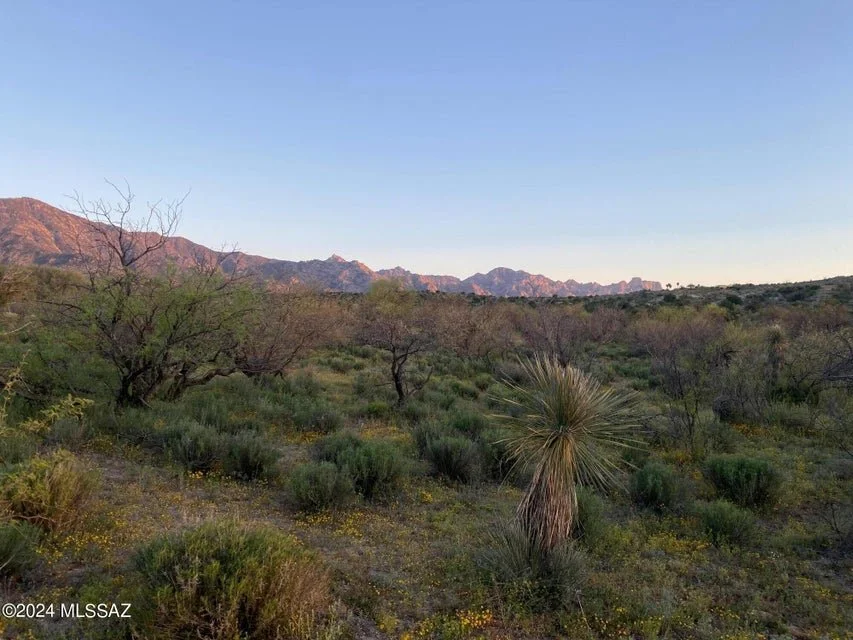 16336 N RIDGE ROCK TR CATALINA AZ 85739