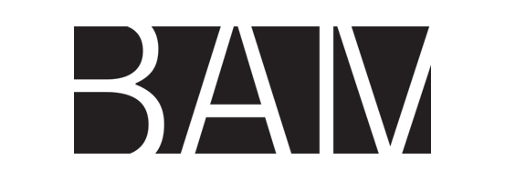 BAM_MMDG_web-Logo-2_553x198[10465].png