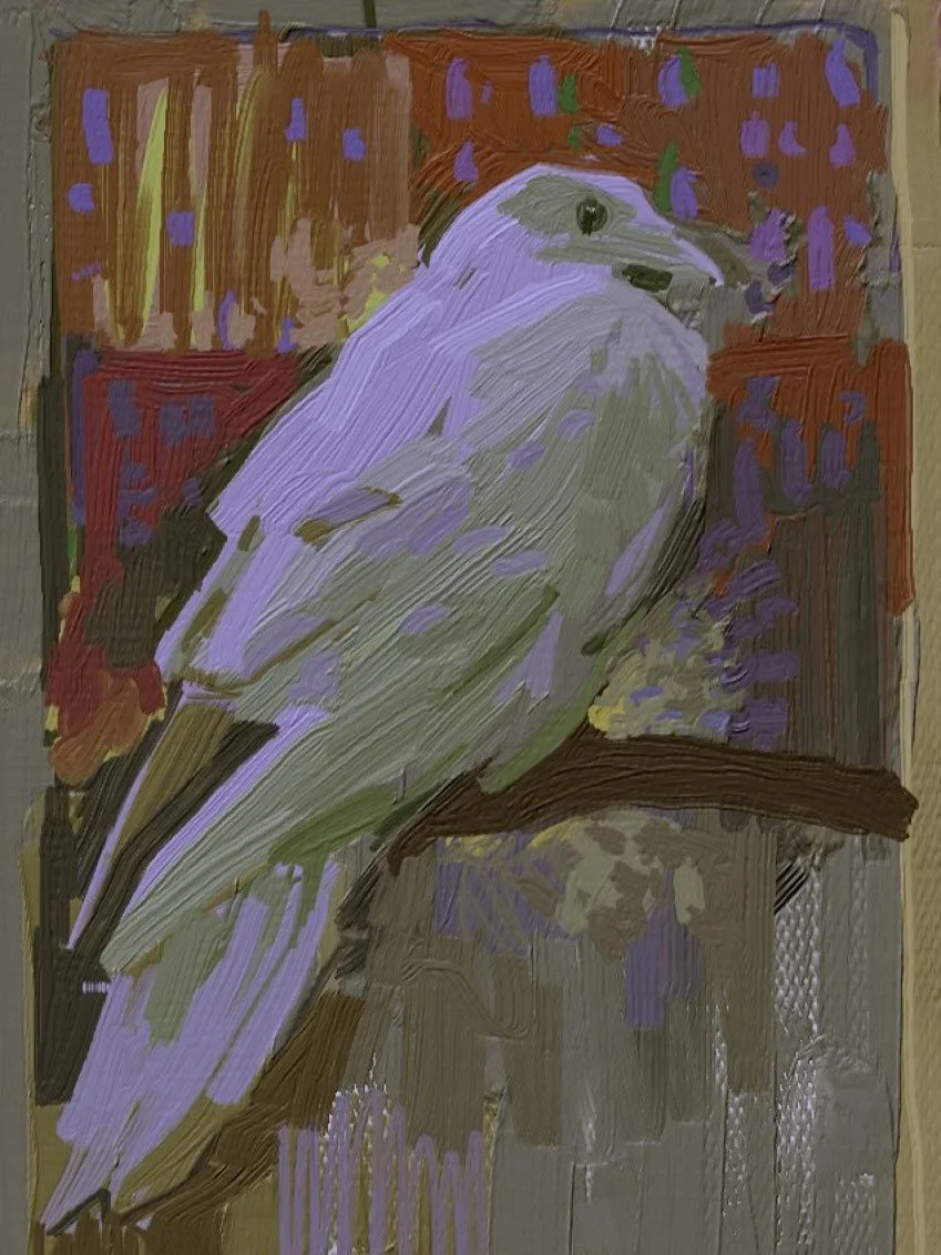 yuming-li-birdo.jpg