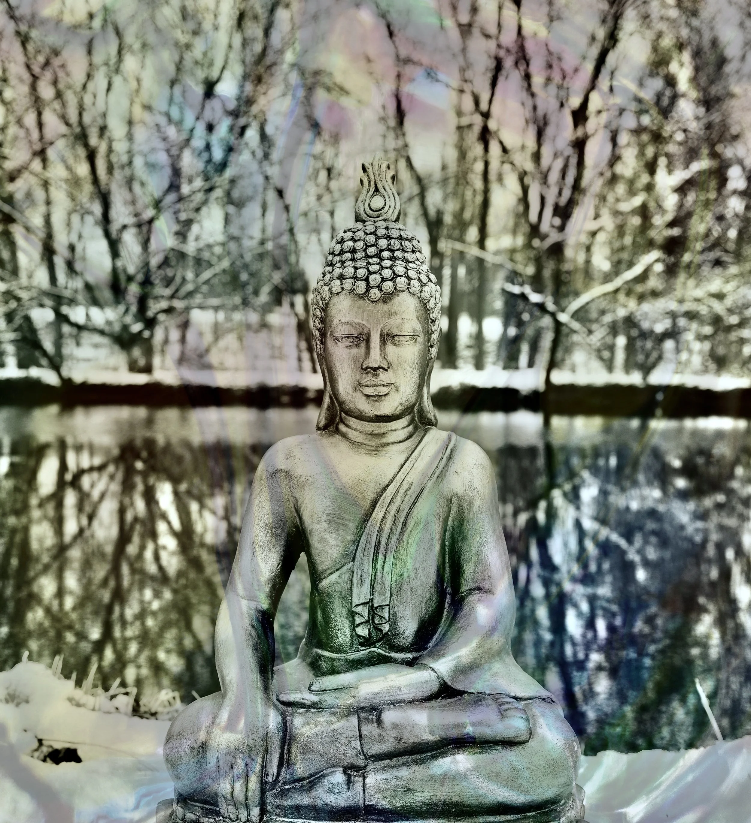 Image 2-8-26 at 9.44 PM.jpeg