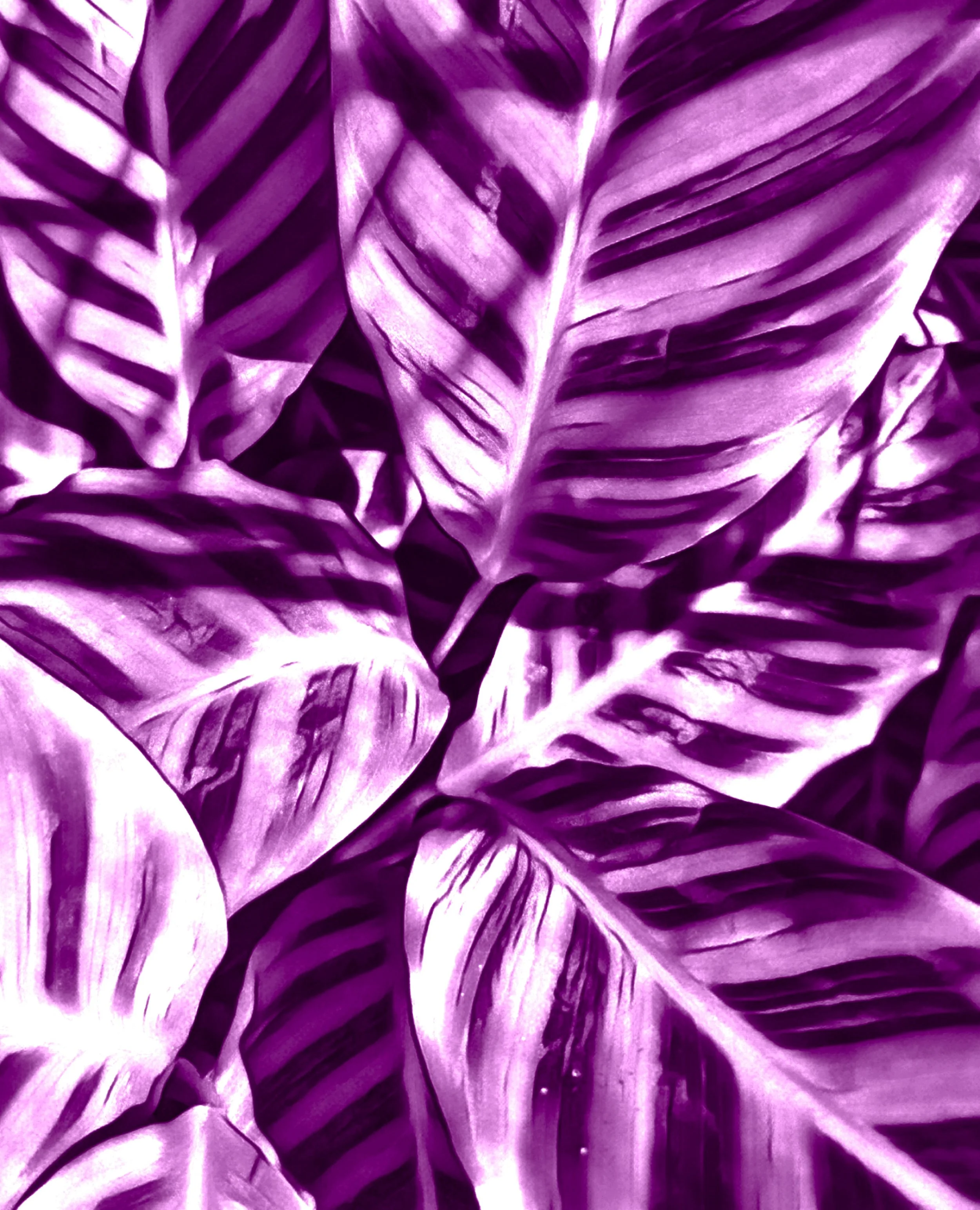 Image 1-29-24 at 9.56 PM.jpeg