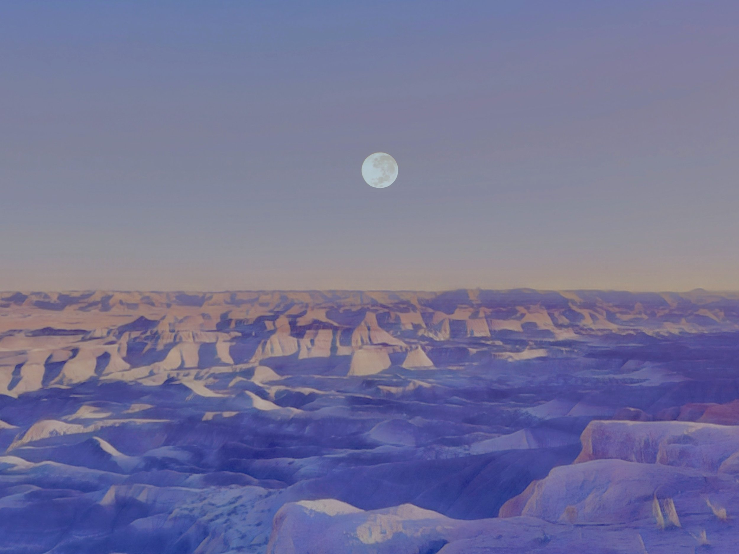 Image 3-3-26 at 5.03 PM.jpeg