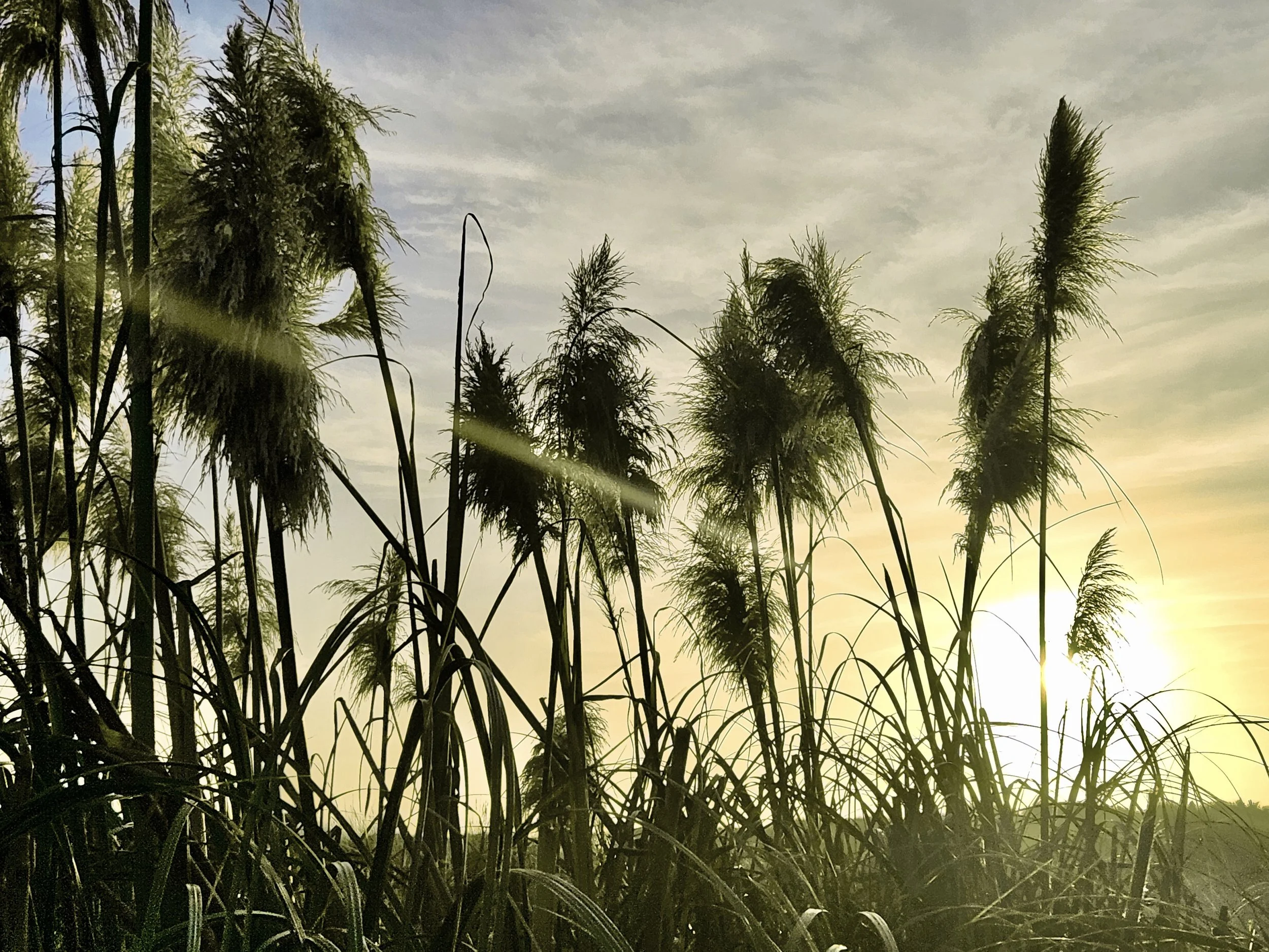 Image 9-27-24 at 4.06 PM.jpeg