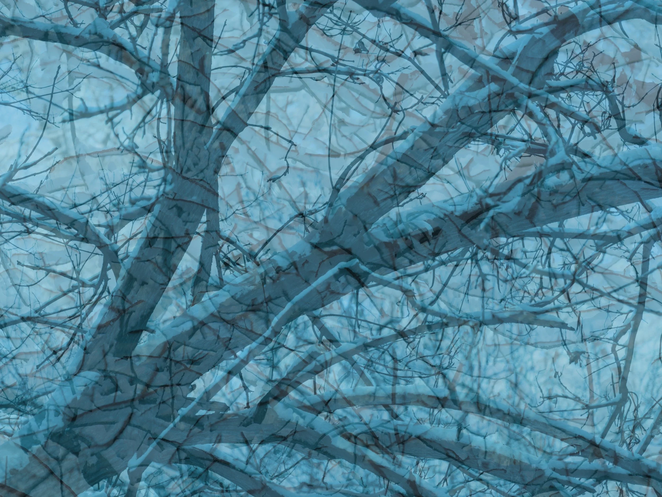 Image 1-19-26 at 5.36 PM.jpeg