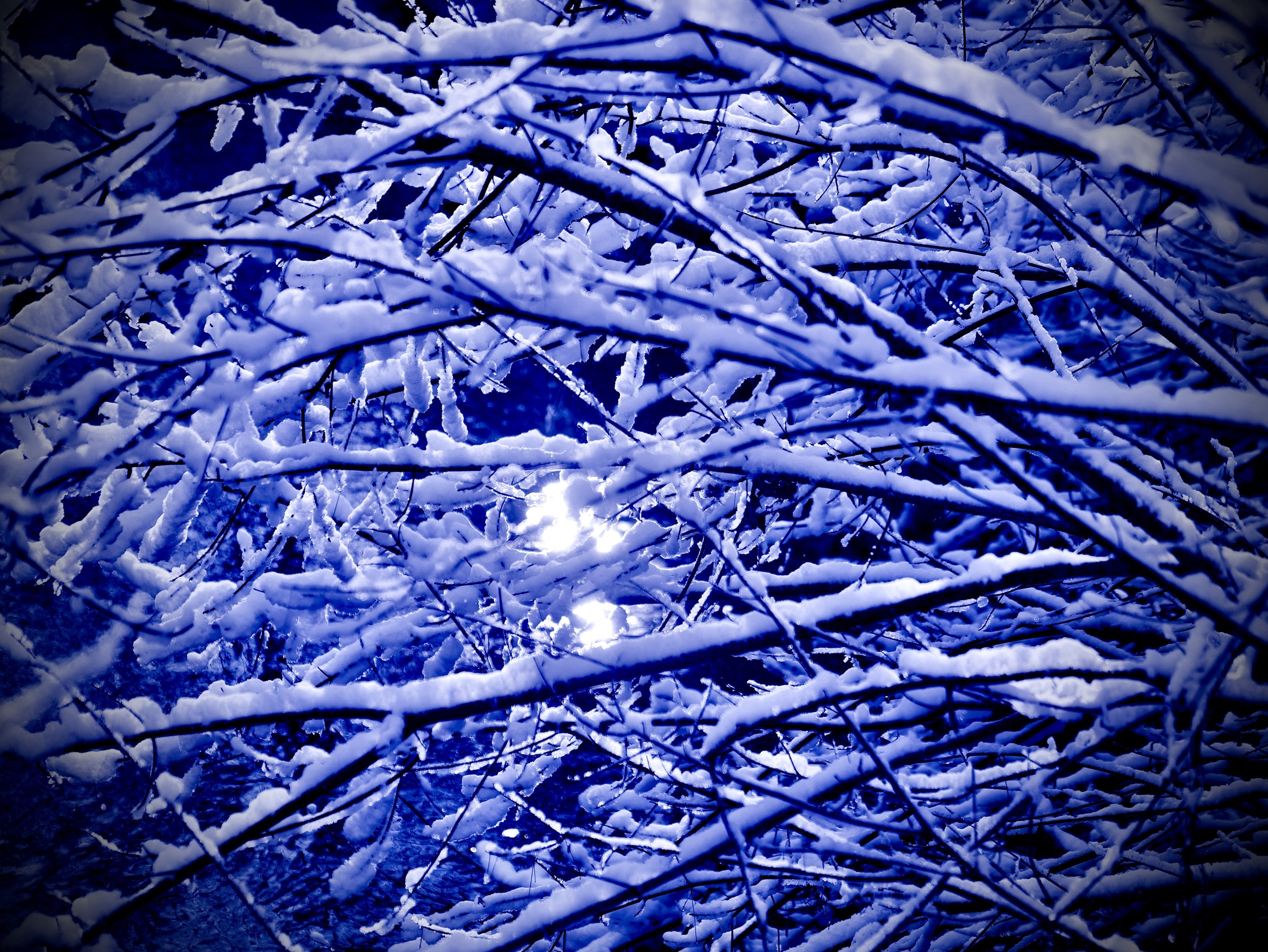 Image 1-18-26 at 7.50 PM.jpeg