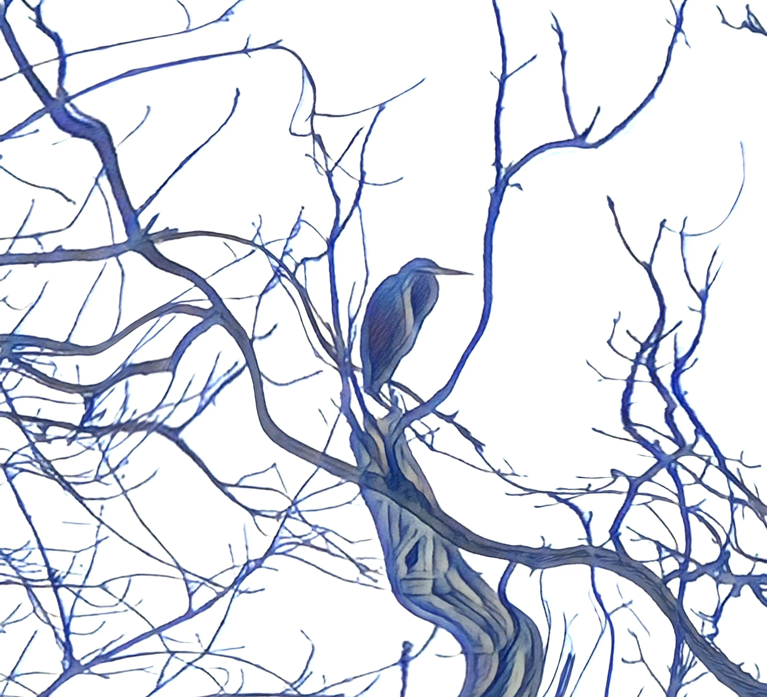 Image 1-28-24 at 5.56 PM.jpeg