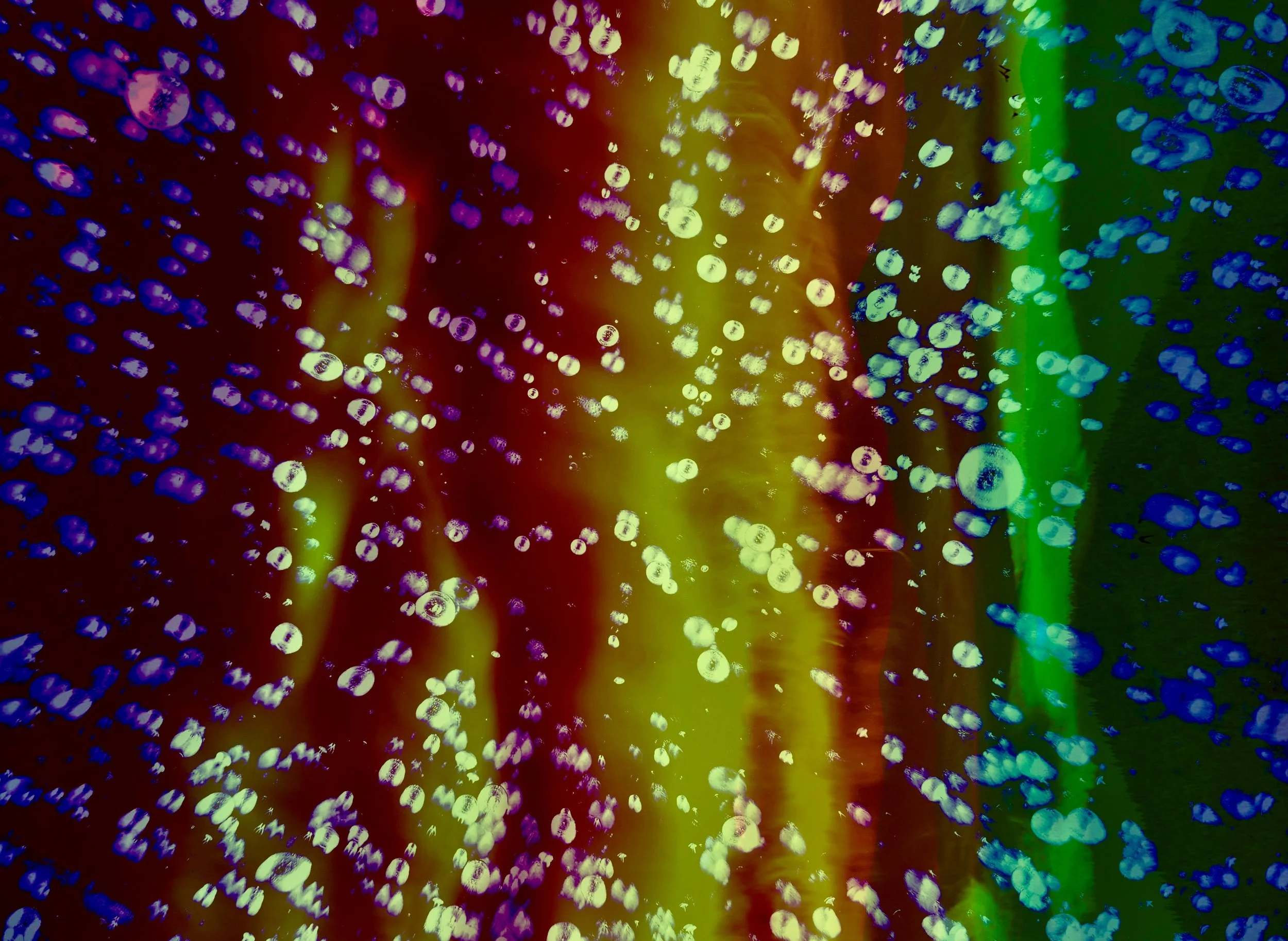 Image 6-13-25 at 8.17 PM.jpeg