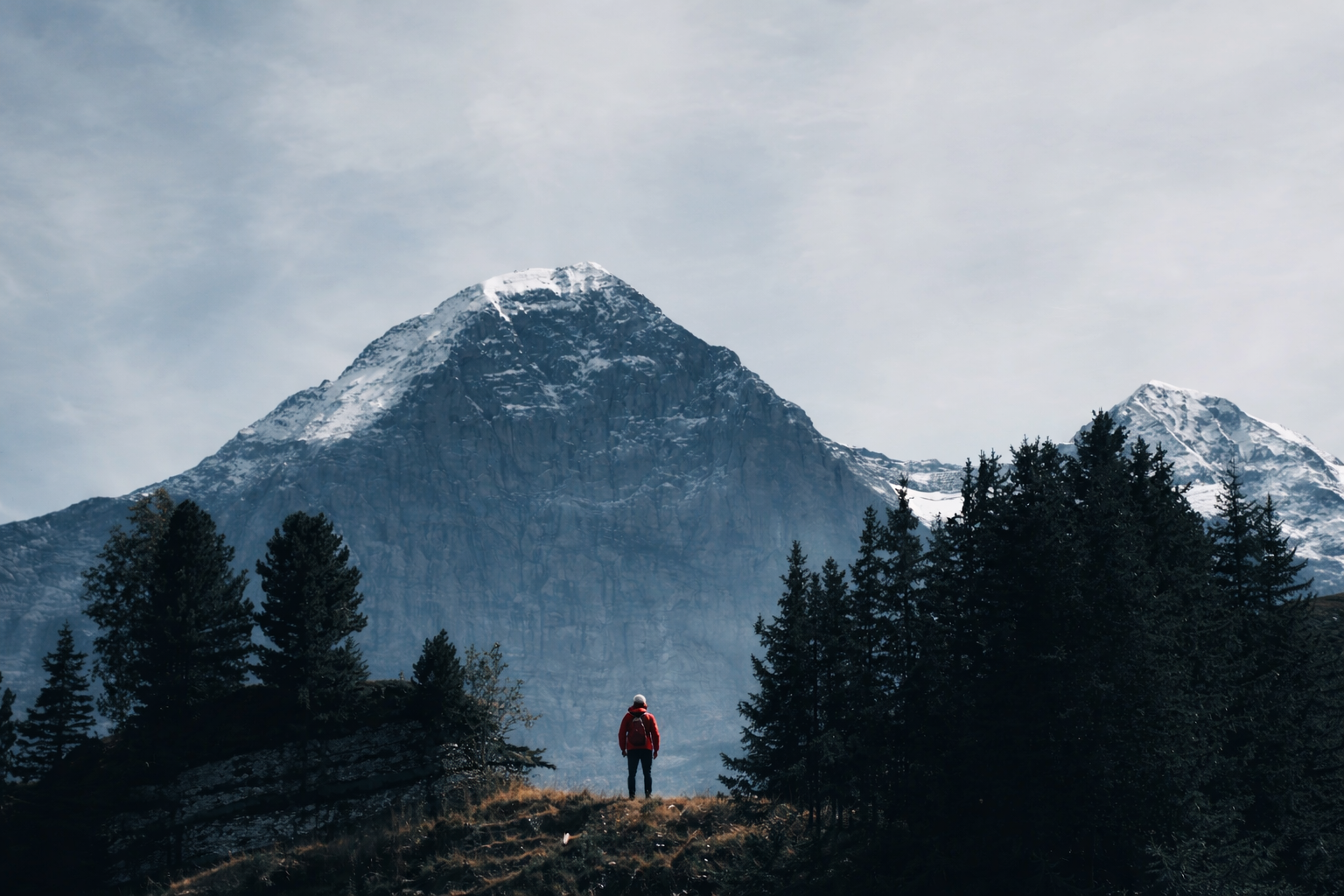 ChatGPT Image Feb 17, 2026, 04_07_27 PM.png