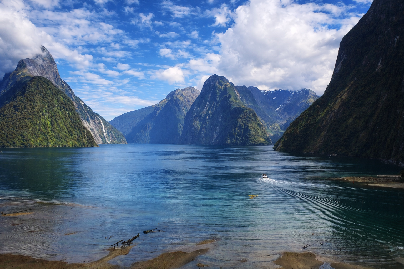 ChatGPT Image Feb 23, 2026, 02_02_17 PM.png