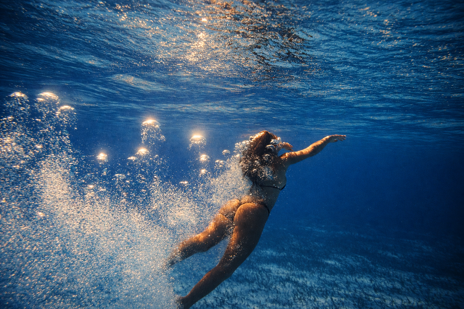 ChatGPT Image Feb 19, 2026, 05_25_02 PM.png