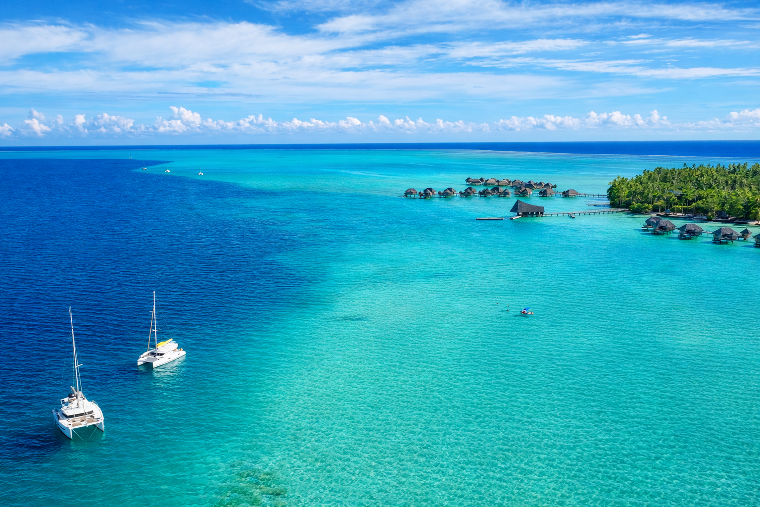 ChatGPT Image Feb 18, 2026, 12_05_05 PM.png