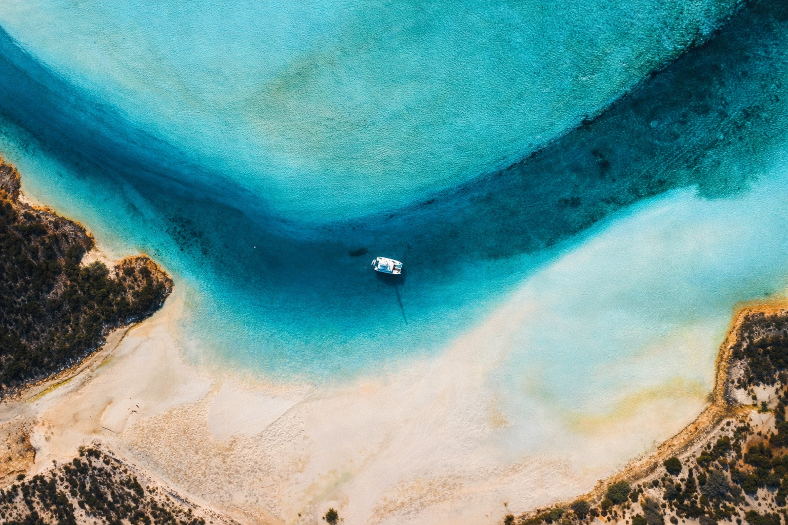 ChatGPT Image Feb 19, 2026, 05_32_55 PM.png